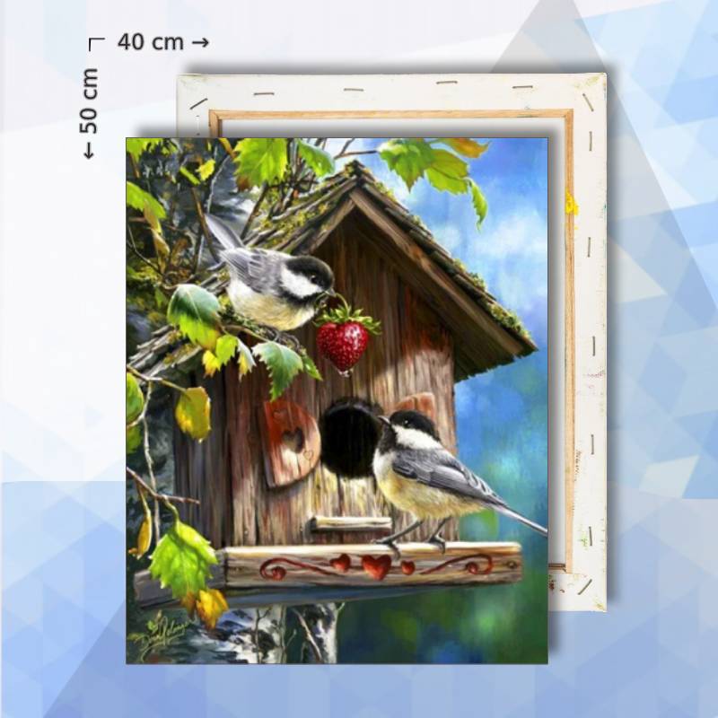 Schilderen Op Nummer pakket Vogelhuisje met koolmees - 40 x 50 cm - met frame