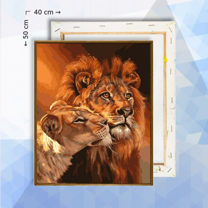 Schilderen op nummer pakket Leeuw en Leeuwin - 40 x 50 cm - met frame