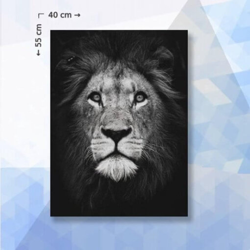 Diamond Painting Pakket Leeuw zwart/wit - 40 x 55 cm